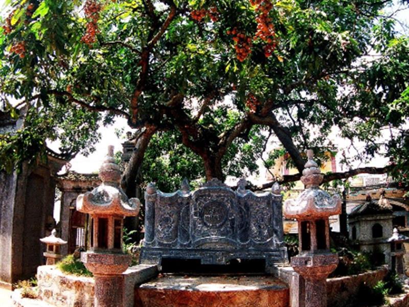 Tri thức Trồng và chế biến nhãn lồng Hưng Yên được ghi danh vào Danh mục quốc gia về di sản văn hóa phi vật thể.