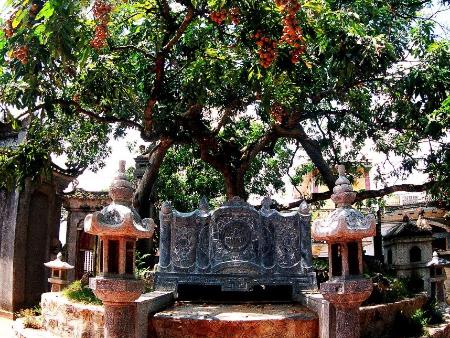 Tri thức Trồng và chế biến nhãn lồng Hưng Yên được ghi danh vào Danh mục quốc gia về di sản văn hóa phi vật thể.