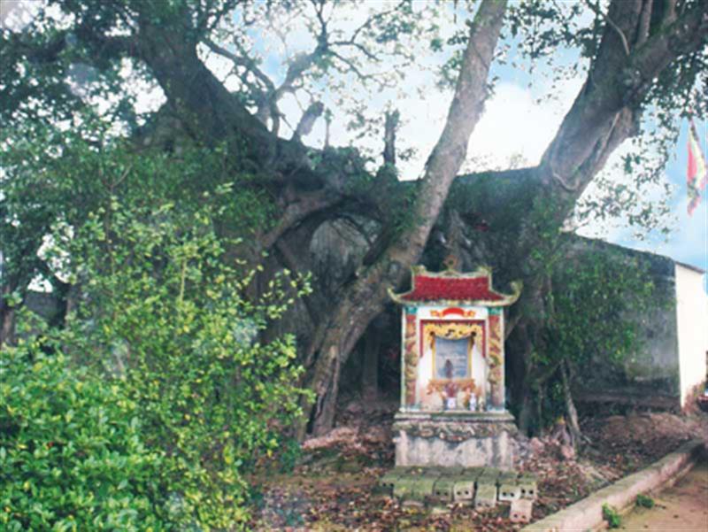 Đình Chay - Phủ Bà